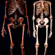 Image for article titled Neanderthals Far Lonelier Than Previously Believed